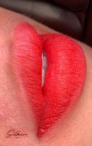 Kỹ thuật Silken Lips