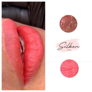 Kỹ thuật Silken Lips